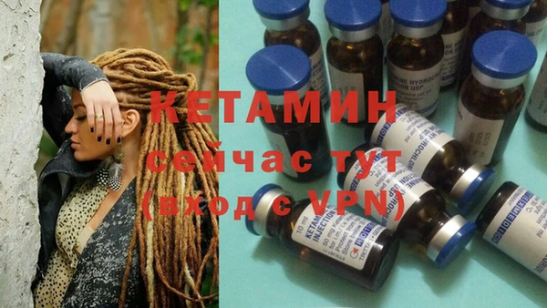 дмт Кодинск