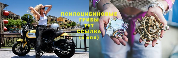 дмт Кодинск