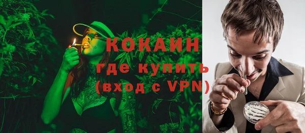 дмт Кодинск