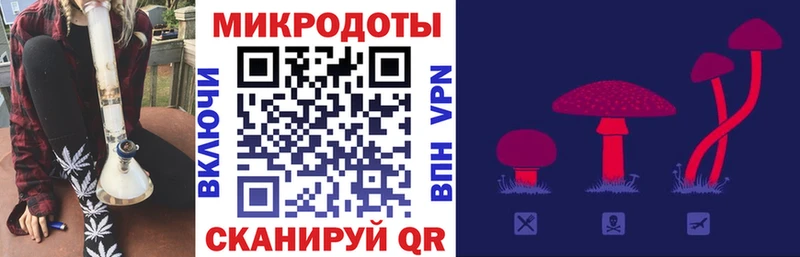 Галлюциногенные грибы Psilocybe Кемерово