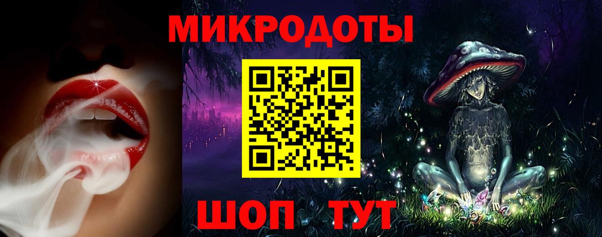 Галлюциногенные грибы Psilocybine cubensis Кемерово